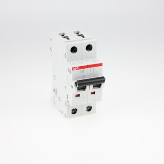 ABB S202-B10 Sicherungsautomat B-Char., 6 kA, 10 A, 2P