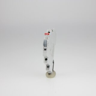 ABB E217-16-10B Leuchttaster Weiss 16A 1S 250VAC mit LED 110 - 250V