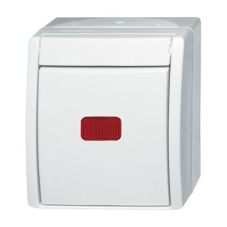 Busch-Jaeger 2601/6 SKW-54 Wippkontrollschalter Aus- und Wechselschaltung (Thermoplast) Alpinweiß ocean® (IP 44)