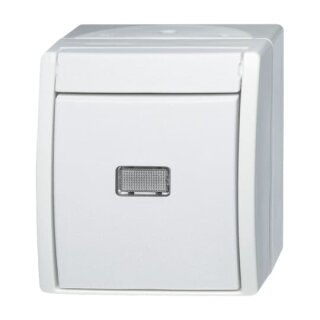 Busch-Jaeger 2601/6 WGL-54 Wippschalter Aus- und Wechselschaltung (Thermoplast) Alpinweiß ocean® (IP 44)