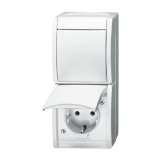 Busch-Jaeger 2601/6/20 EW-54 Kombination SCHUKO® Steckdose, mit Wippschalter Aus- und Wechselschaltung (Thermoplast) Alpinweiß Ocean® (IP 44)